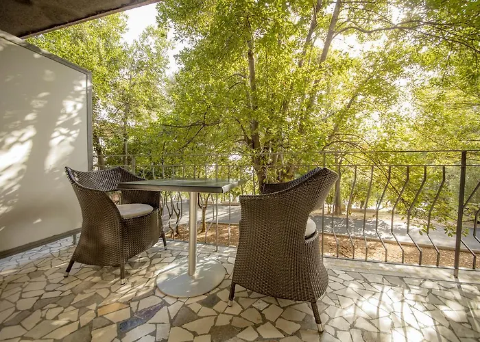 Saint Alliance ツリクヴェニツァ