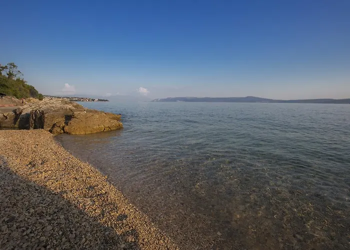 ベッド・アンド・ブレックファスト Saint Alliance